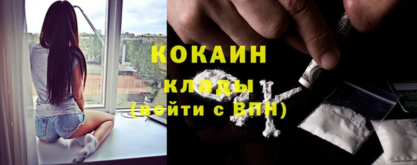 прущие крисы Верея