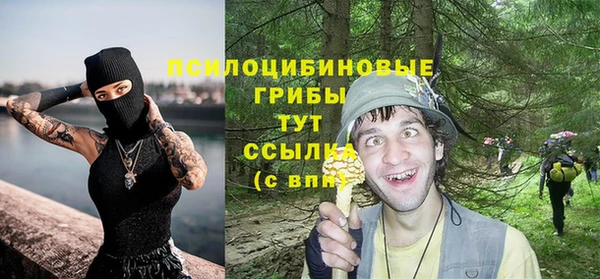 прущие крисы Верея