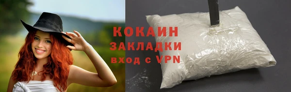 прущие крисы Верея