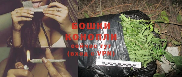 прущие крисы Верея