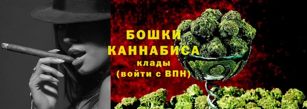 прущие крисы Верея