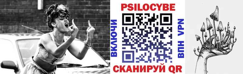 Купить  Менделеевск  Галлюциногенные грибы Cubensis 